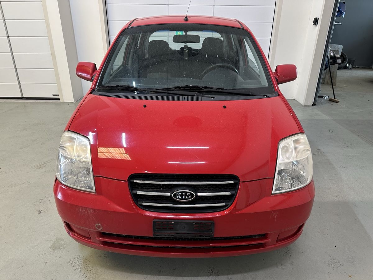 Kia Automobili: Kia Picanto für Export – Usato da Safenwil venduto da san_b5l9 1
