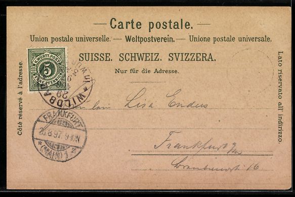 Cartes postales: Litho Brunnen, Seepanorama und Axenstras – D'occasion à Berlin par bartko-reher 1