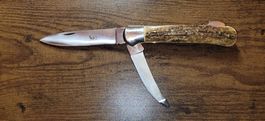 Coltellino da collezione o da caccia NUOVO manico corno