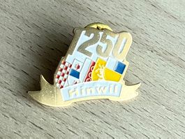 Pin Hinwil