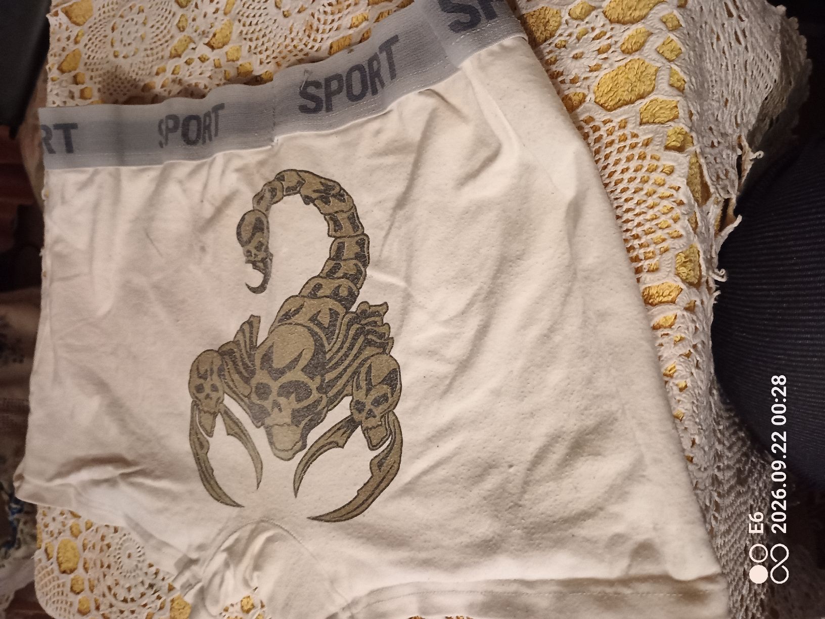 Unterwäsche: Slip mit Skorpion – Gebraucht aus Zürich von Mitzi6 2