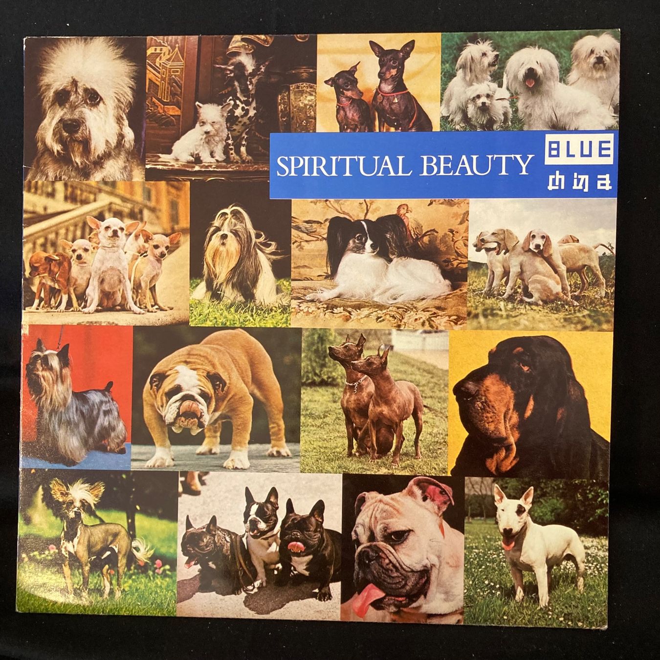 Schallplatten: Blue China / Spiritual Beauty – Gebraucht aus St.Gallen von Out-take