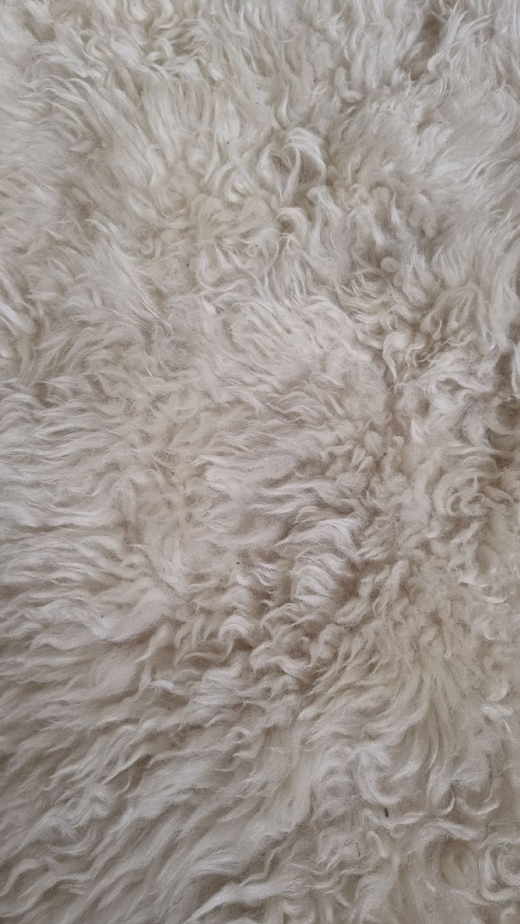 Ikea Tapis: Weißer Schaffellteppich von IKEA – D'occasion à Zug par ram_n27t 1