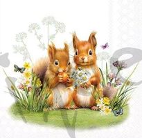 Serviette little squirrels (1753) 2Stk.