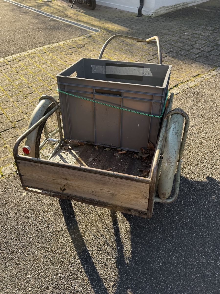 Rimorchi: Veloanhänger , robust & praktisch – Usato da Liestal venduto da Schnaeppli4410 2