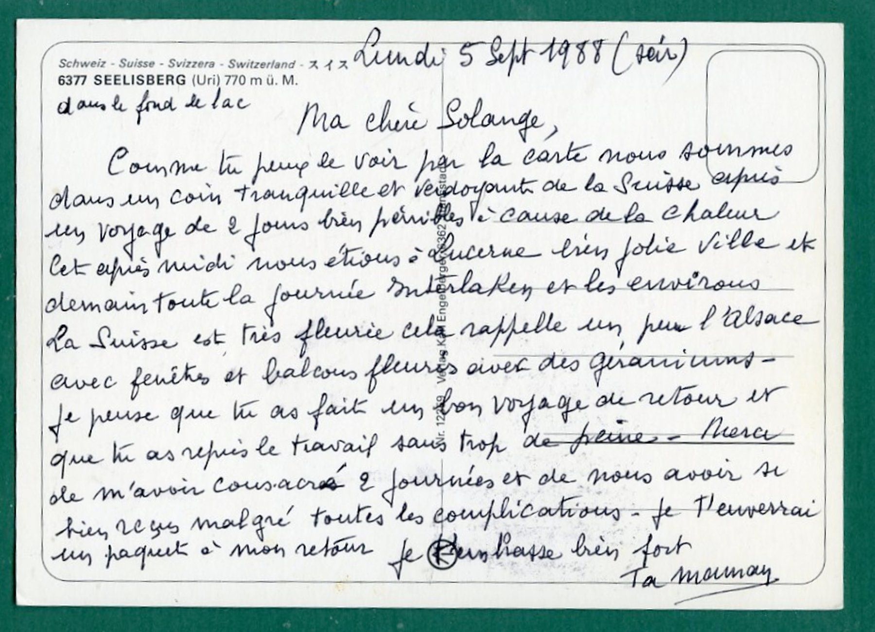 Cartoline postali: Seelisberg, 1988, ungelaufen, Grossformat – Usato da Sargans venduto da Hausi1951 1