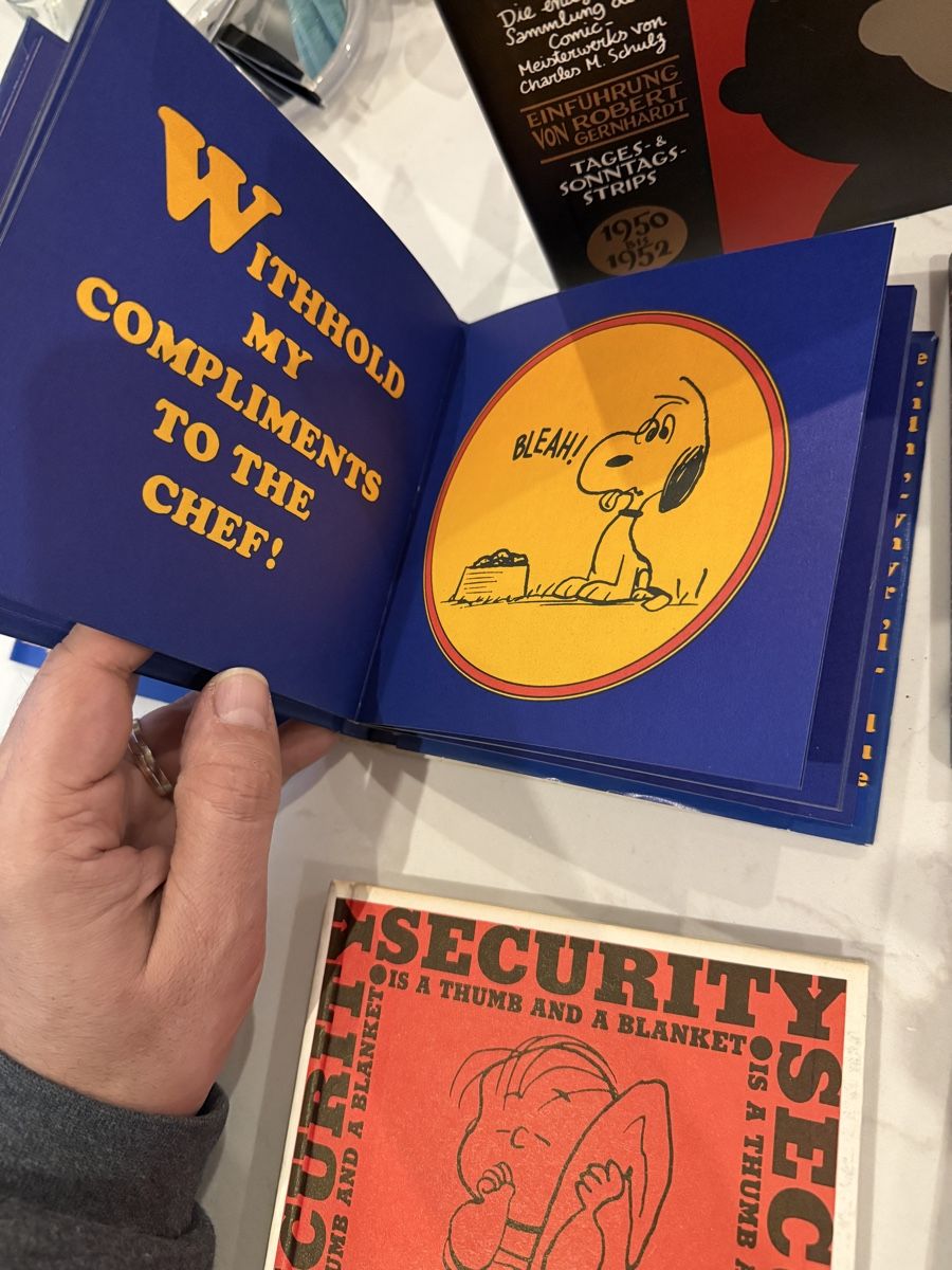 Fumetti: 1960er Jahre Peanuts Comic Bücher – Usato da Strengelbach venduto da shihtzuliving_22 2