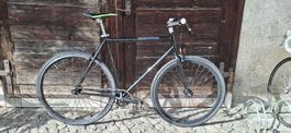 Singlespeed/Fixie Gr 54 FIXIE INC