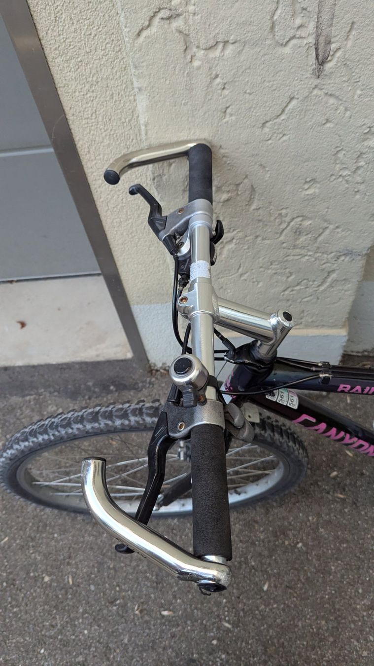 Canyon Biciclette: MTB Canyon S650 Rainbow – Usato da Zürich venduto da cla_6xkx 2