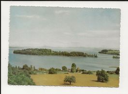 AK ca 1960 Insel Mainau im Bodensee