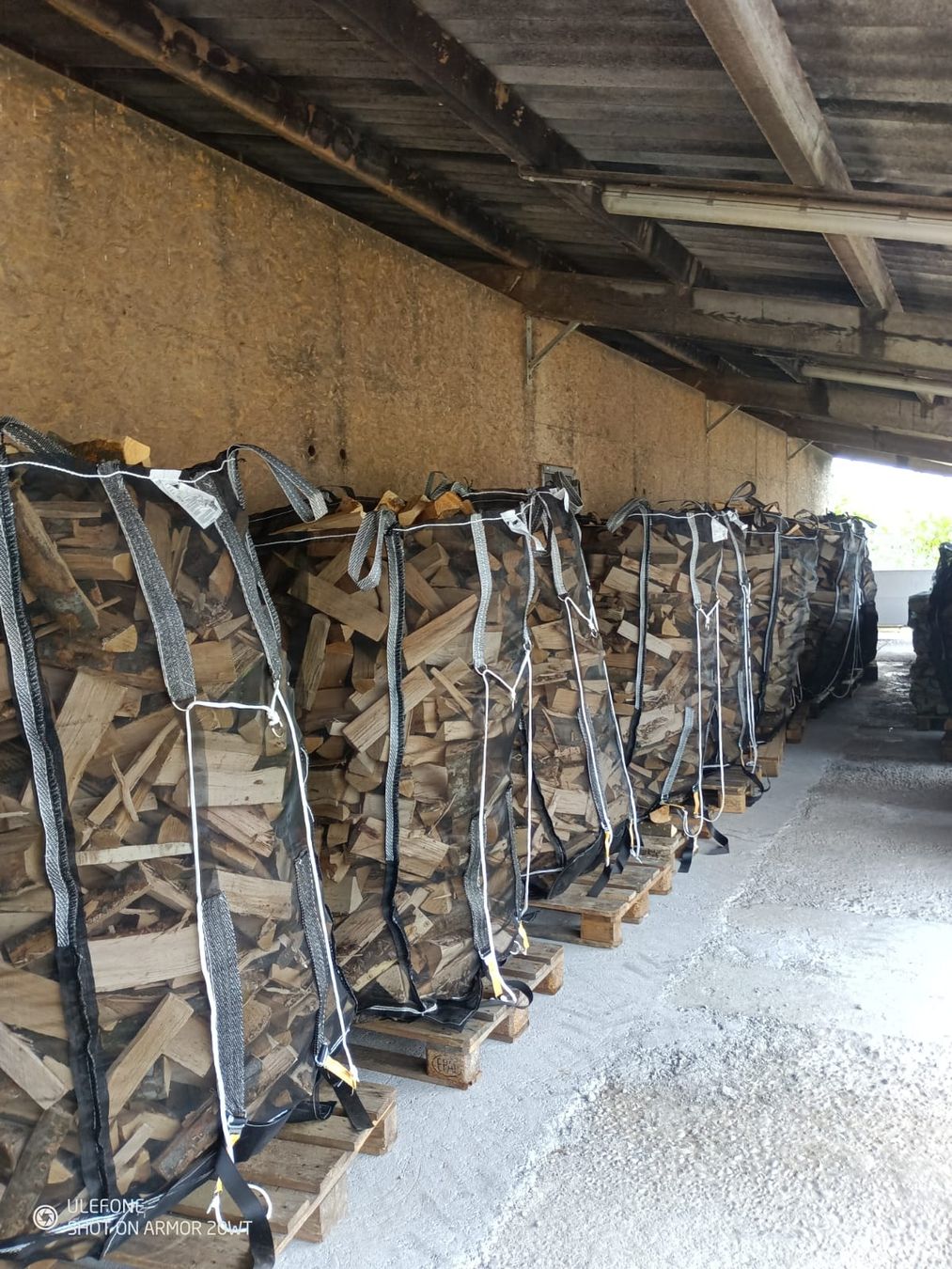 Articoli in legno: Brennholz Chemineholz – Nuovo (secondo la descrizione) da Affoltern am Albis venduto da ret_6x6z 1