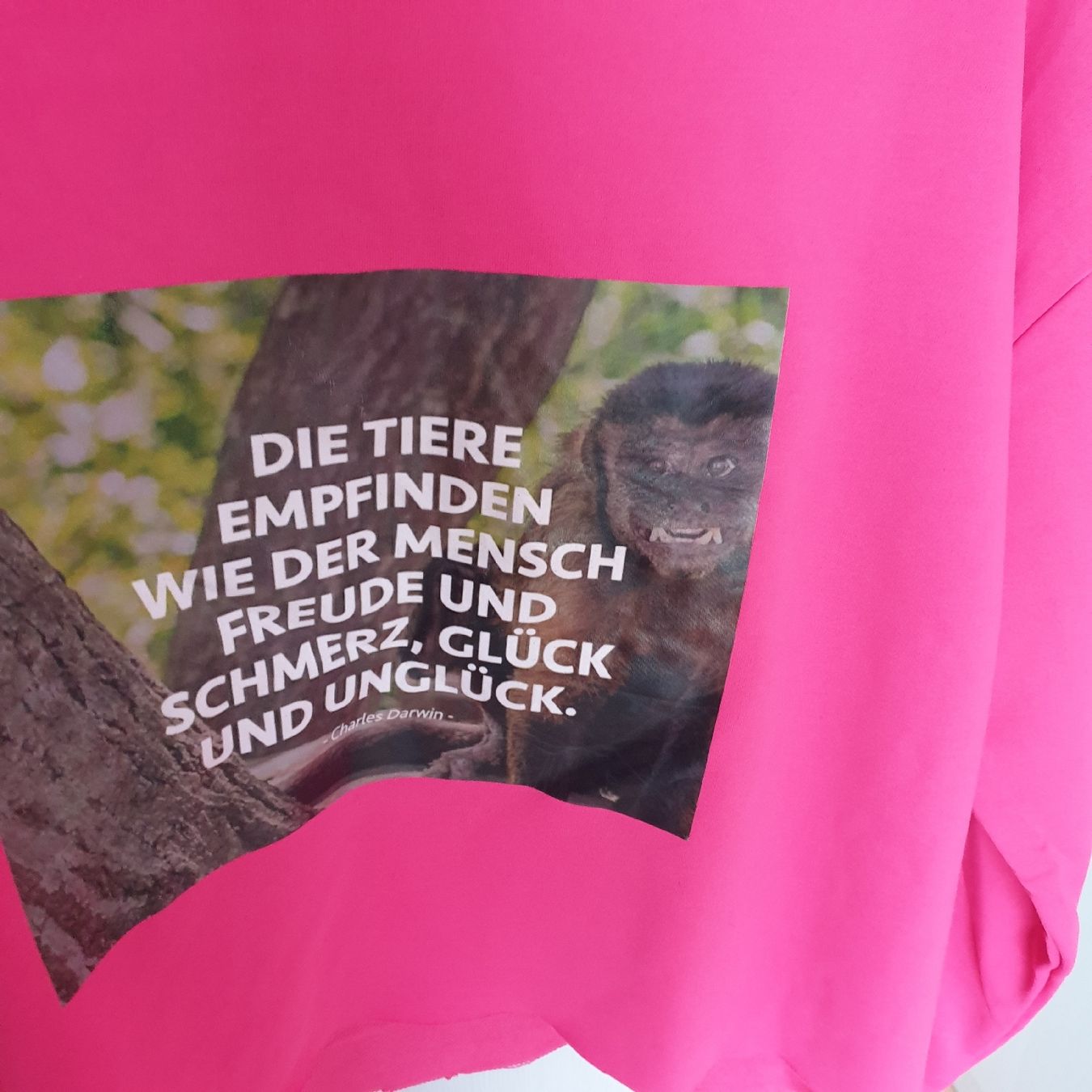 Maglioni & Felpe: Damen Sweatshirt mit Bewusstsein – Usato da Zihlschlacht venduto da Sun25 1