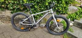 earlyrider belter 20 kindervelo