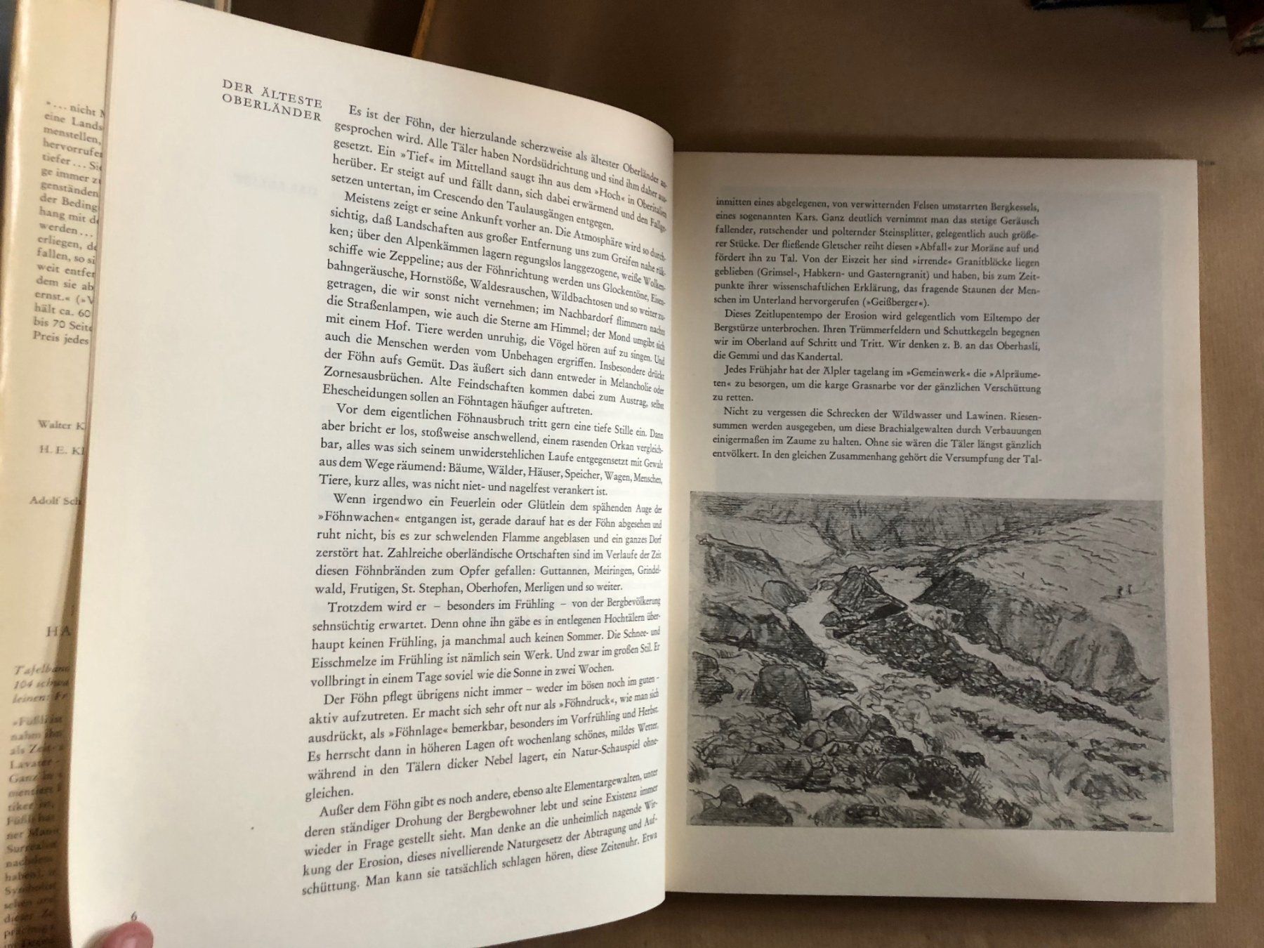 Bücher: Adolf Schaer-Ris: Das Berner Oberland. – Gebraucht aus Zürich von allp 3