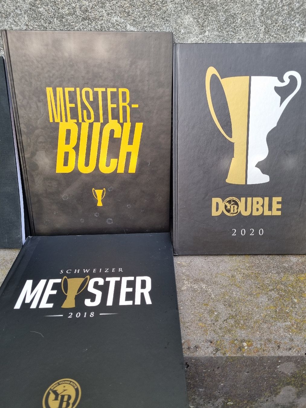 Livres: YB  BUCH – D'occasion à Ostermundigen par vintage60 2
