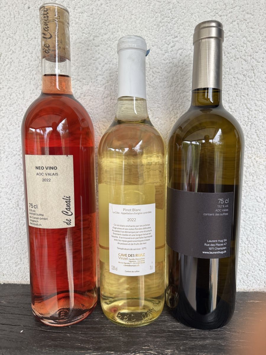 Sac de transport pour 6 bouteilles de vin, sacs de vin non tissés, sac fourre-tout réutilisable pour bouteille de vin, sac de voyage portable avec poignée pour pique-nique, camping, voyage, Standard Sac de transport pour 6 bouteilles de vin, sacs de vin non tissés, sac fourre-tout réutilisable pour bouteille de vin, sac de voyage portable avec poignée pour pique-nique, camping, voyage, Standard