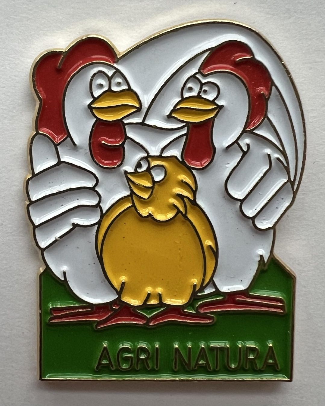 Placchette & Badge: Pins "AGRI NATURA – Nuovo (secondo la descrizione) da Winterthur venduto da Green-Future 2