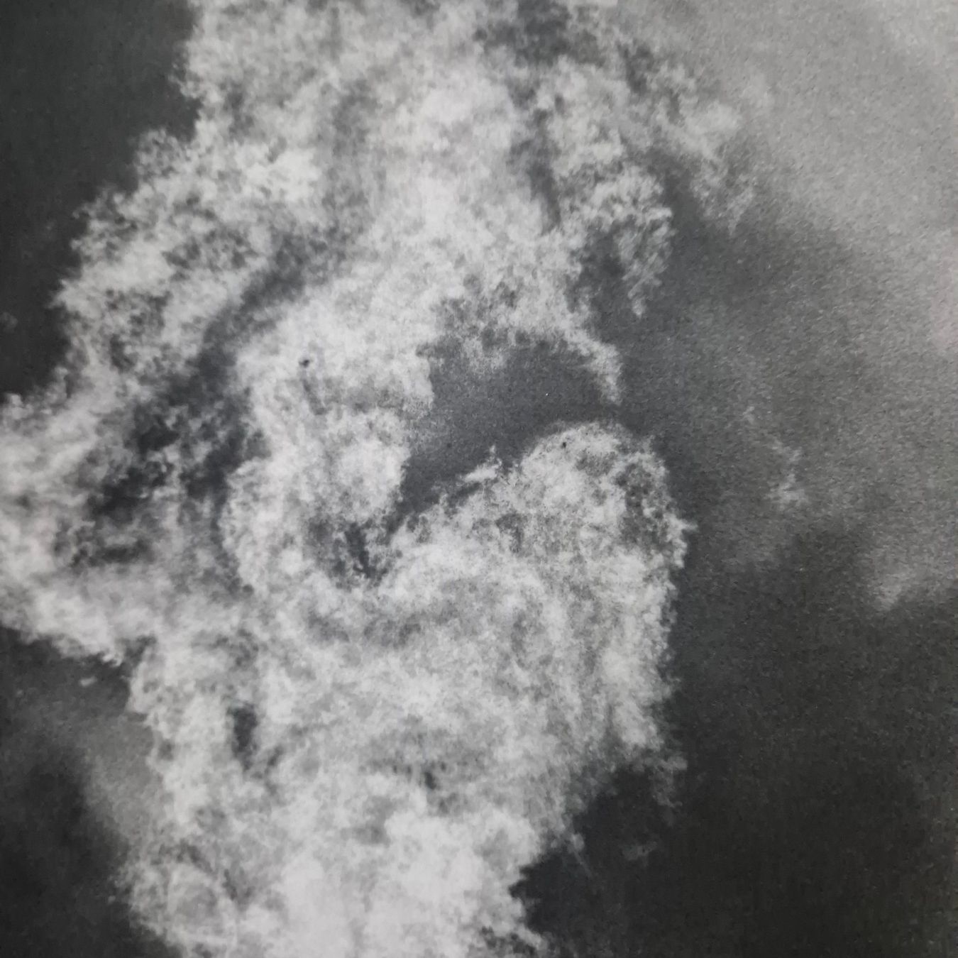 Foto & Immagini: Jochen Lempert original photo – Usato da Zürich venduto da MoPoMo 1