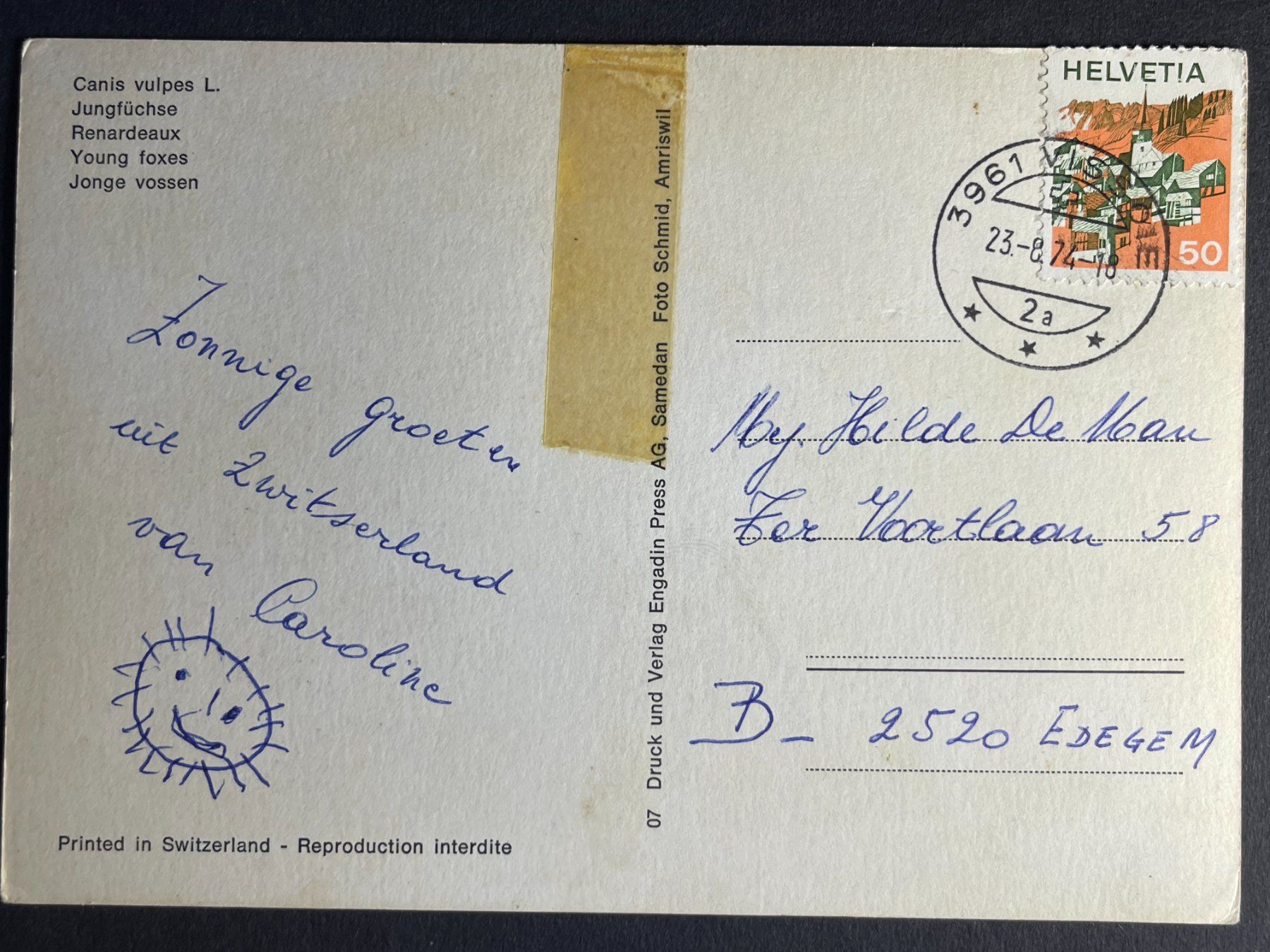 Cartoline postali: Jungfüchse - mit Stempel Vissoie - 1974 – Usato da Steg VS venduto da _vinci_ 1