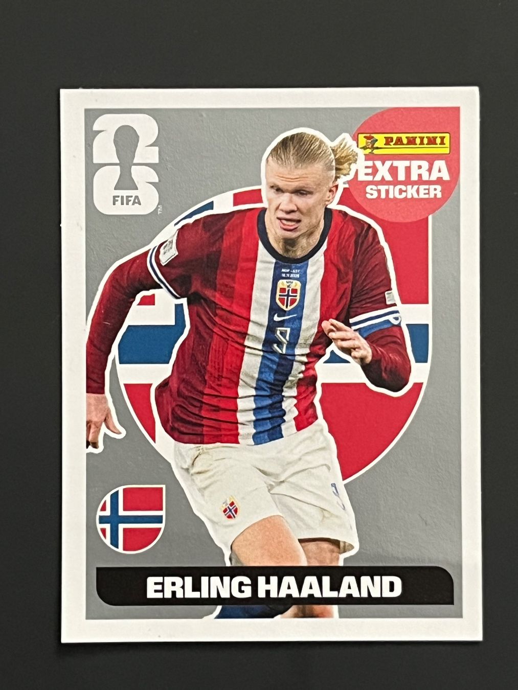 Panini Cartes à collectionner: HAALAND SILBER EXTRASTICKER – D'occasion à Klingnau par sin_qdq8