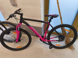 Velo california