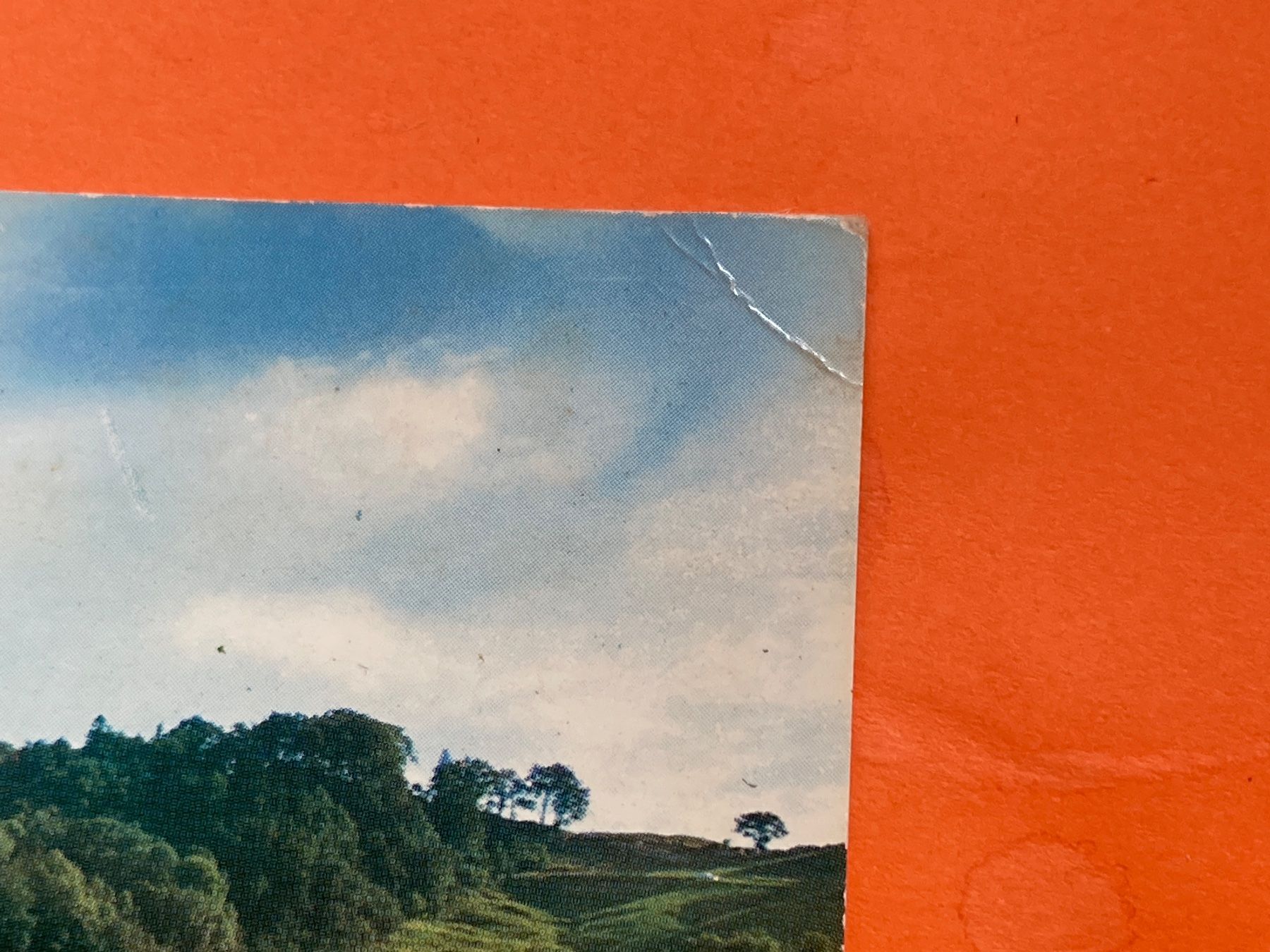 Cartes postales: Berghaus Ober-Bölchen bei Eptingen – D'occasion à Zürich par Chaeffeler 1