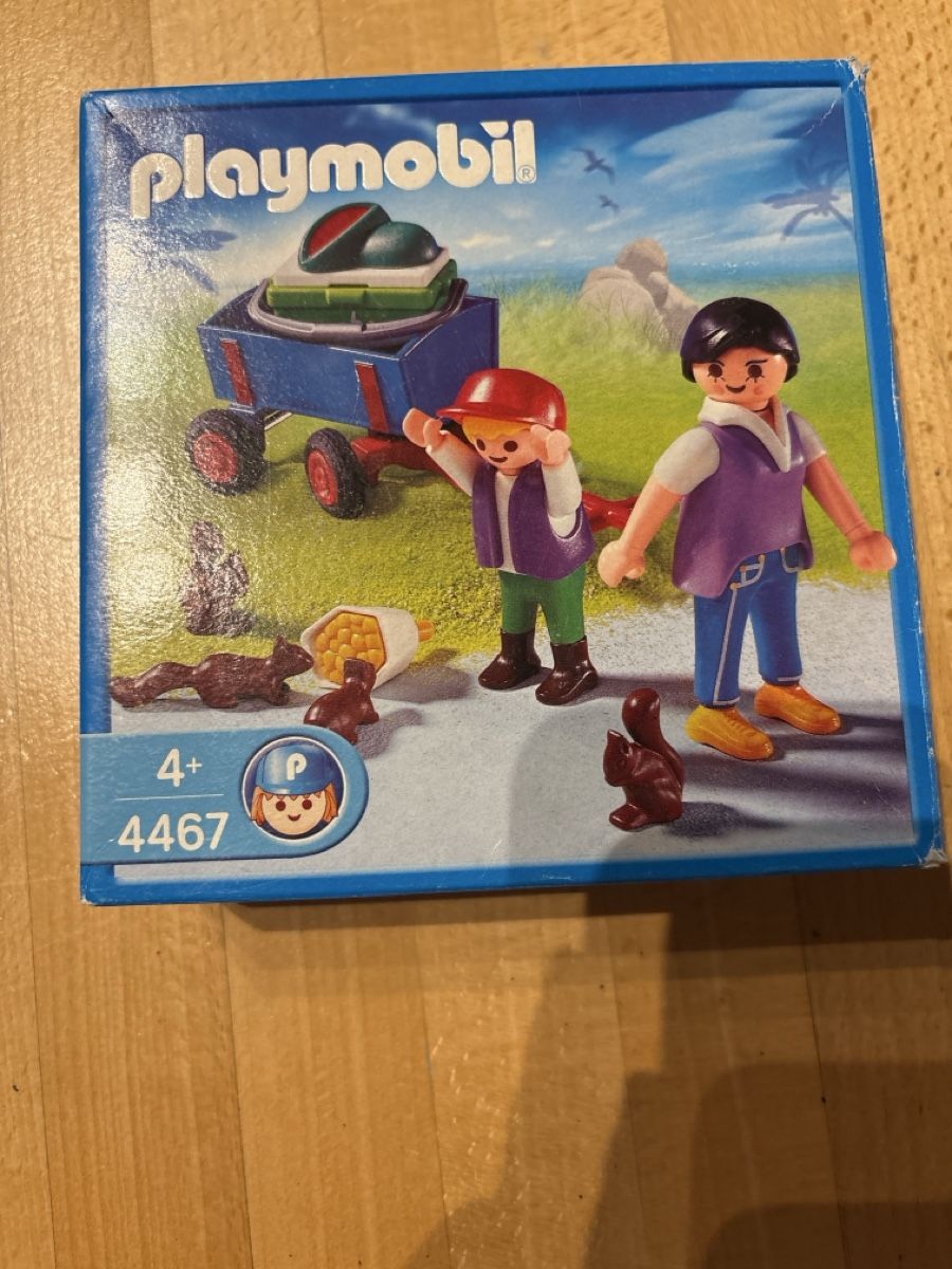 Playmobil Giocattoli: Playmobil famille écueils  – Nuovo (secondo la descrizione) da Uvrier venduto da lou_dhk8