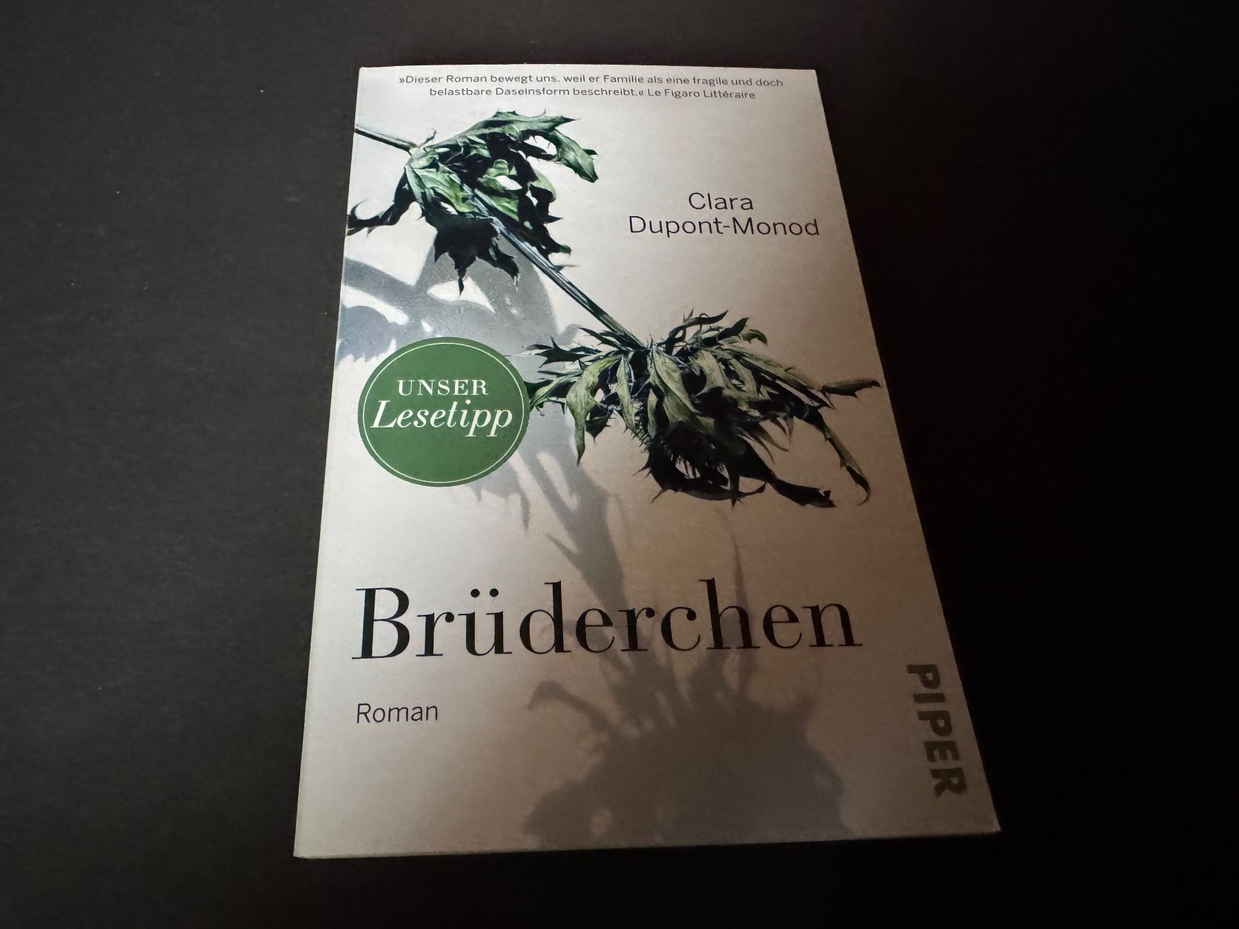 Libri: BRÜDERCHEN – Nuovo (secondo la descrizione) da Hägendorf venduto da bri_v995