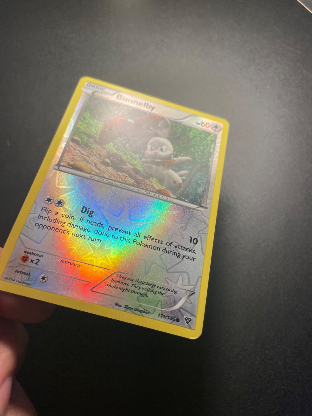 Pokémon Cartes à collectionner: Bunnelby XY Base Set 111/146 – D'occasion à Zürich par pokemon_cards 1
