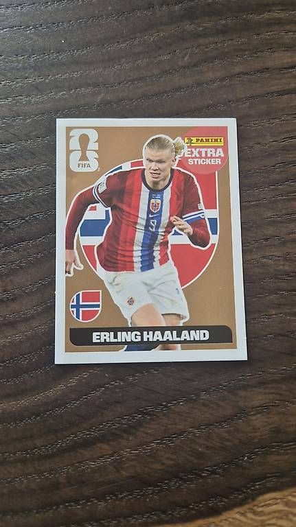 Panini Carte collezionabili: Extra Sticker Panini Erling Haaland – Usato da Jakobsbad venduto da viva013