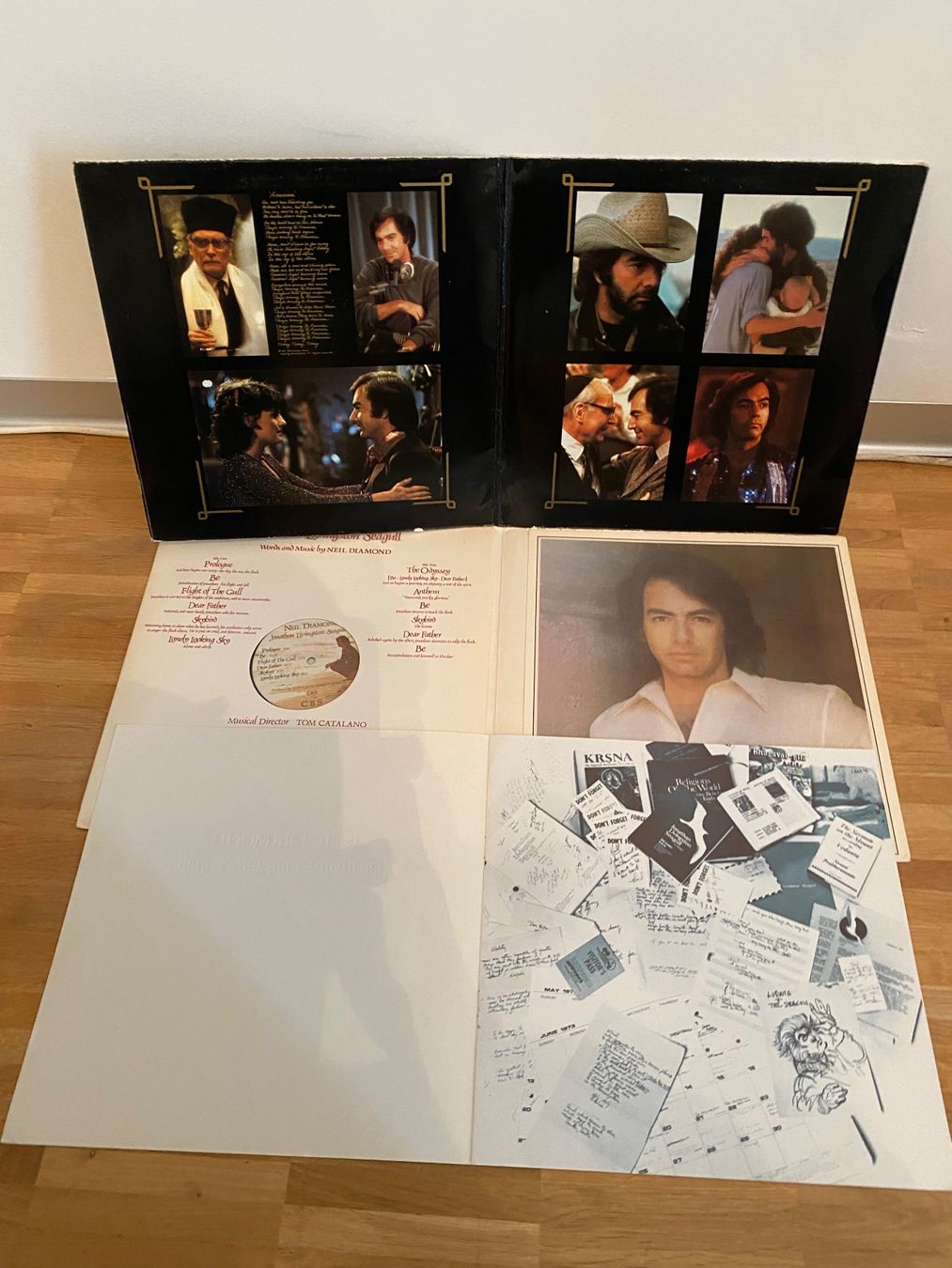 Dischi in vinile: Neil Diamond - 2 Schallplatten – Usato da Rotkreuz venduto da mia_dc2r 3