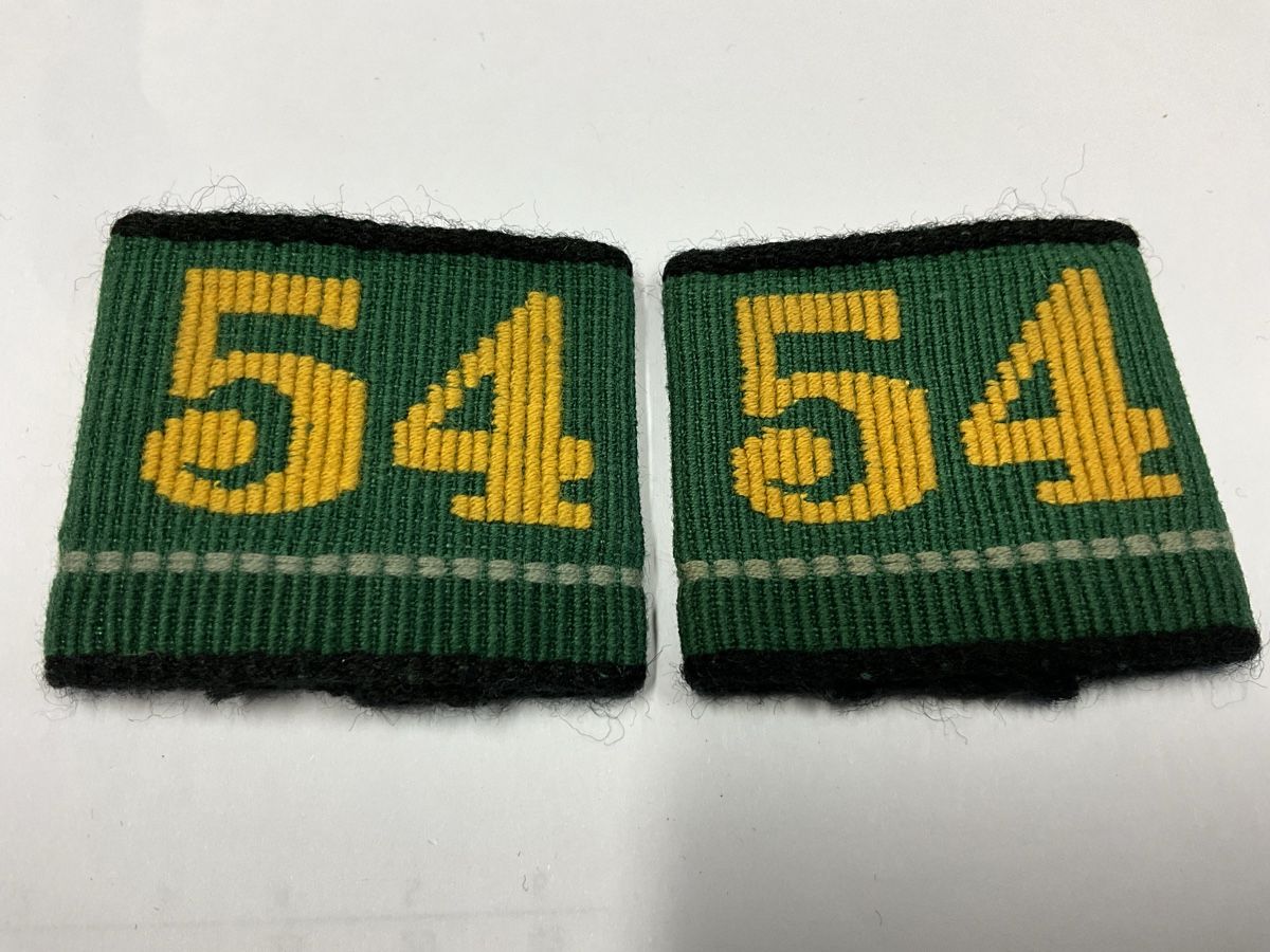 Armée suisse Plaquettes & Badges: Patten Inf Bat 54 Basel Stadt – D'occasion à Basel par Genie2