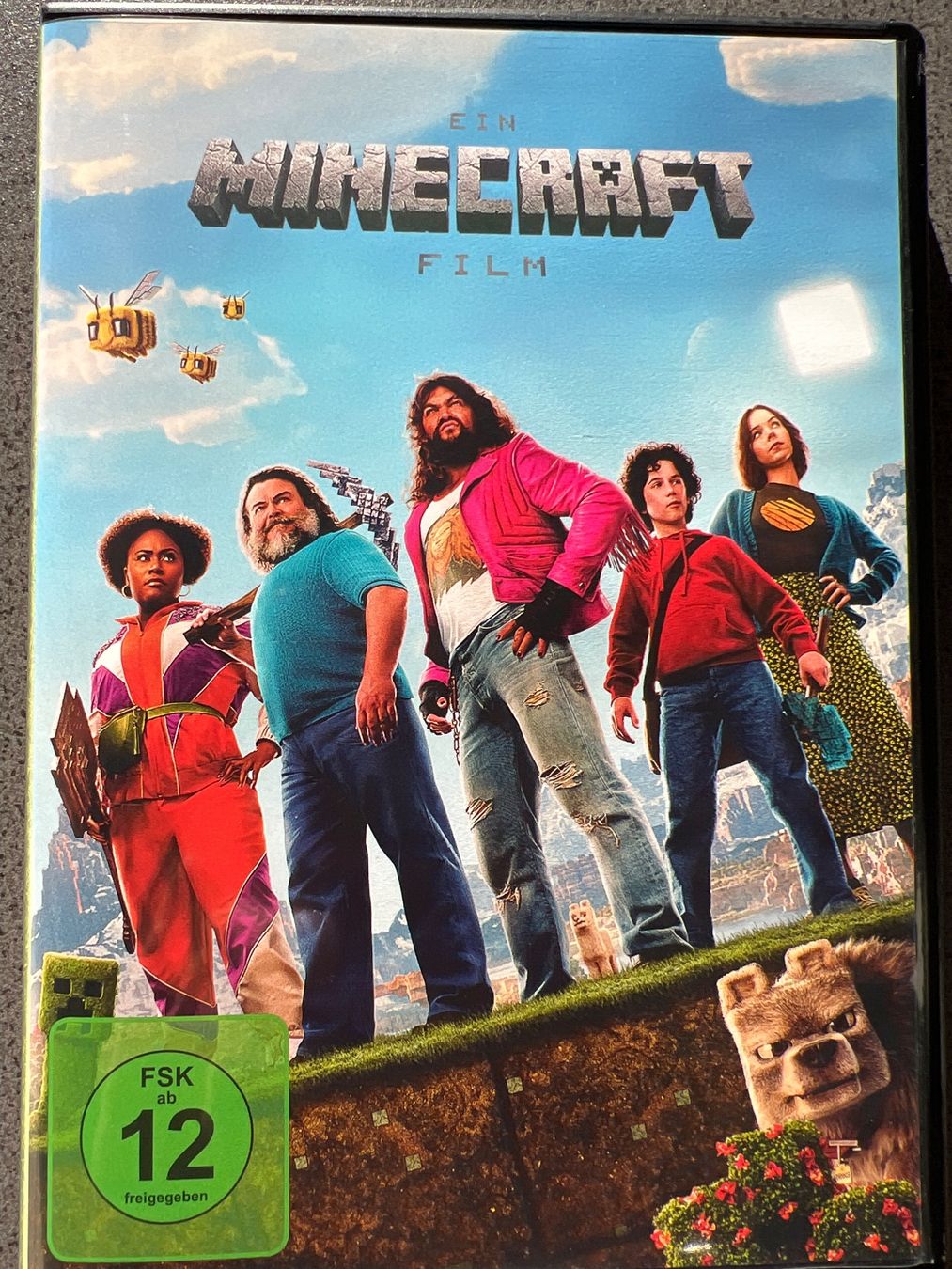 Tutti i DVDs: Ein Minecraft  Film DVD – Usato da Winkel venduto da Tilivika