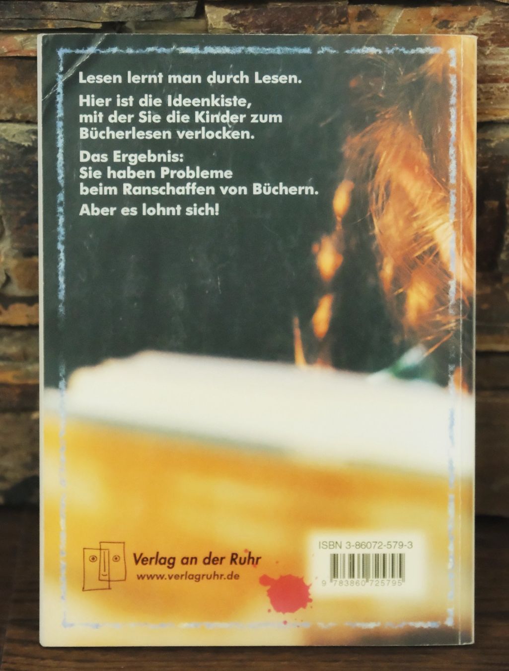 Libri: DIE LESE IDEENKISTE Heft Ulla Ehrmann – Usato da Wohlen AG venduto da Exitburn 1