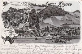 AK Signau