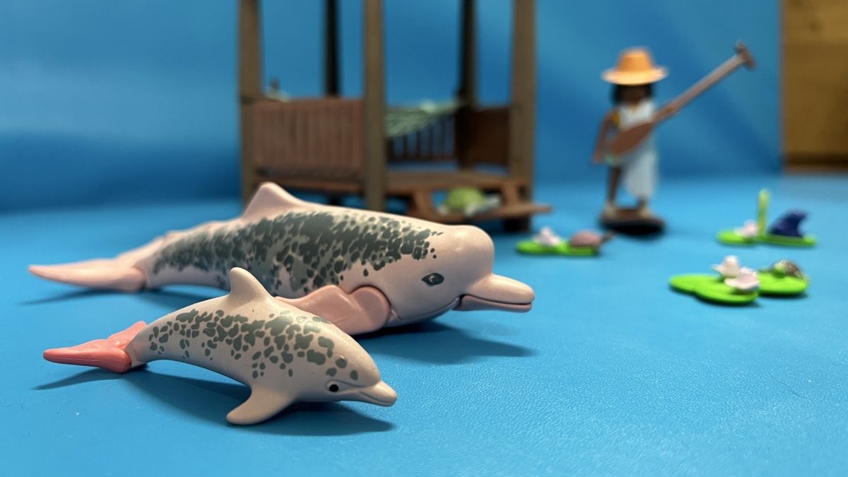 Playmobil Giocattoli: Playmobil  Paddeltour mit den Flussdelfinen – Usato da Winterthur venduto da Strubina 1