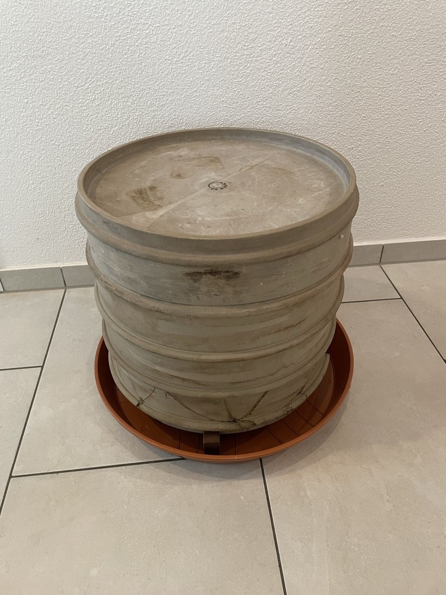 Auflagenboxen: Wurmkompost WormUp – Gebraucht aus Winterthur von ChrigelAufRicardo