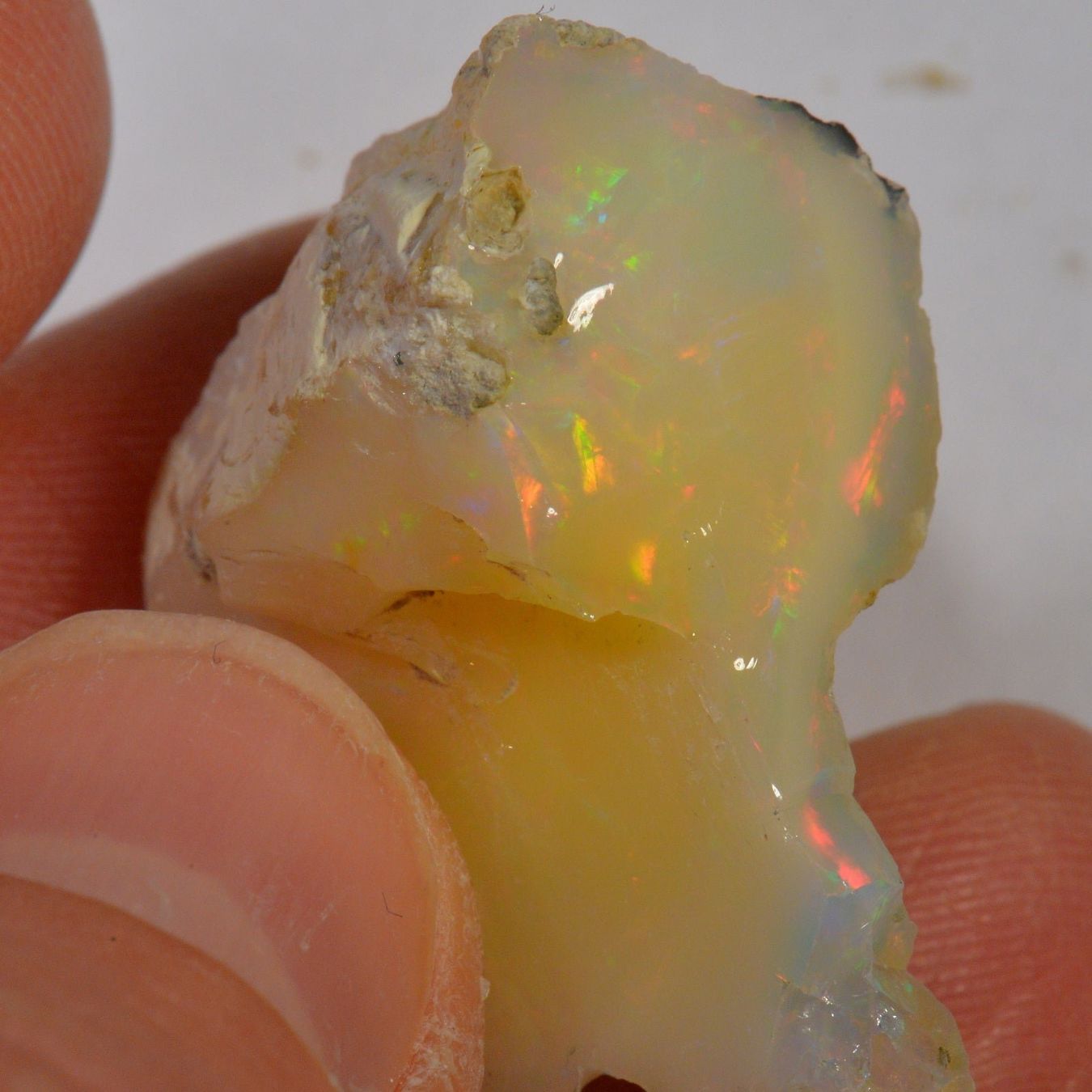 Pietre preziose: 31.5 Karat - Roher Äthiopischer Welo Opal – Nuovo (secondo la descrizione) da Rüti ZH venduto da DeinOpal