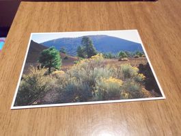 Ansichtskarte Sunset Crater Volcano, 102
