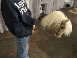 Steckenpferd „Candy“