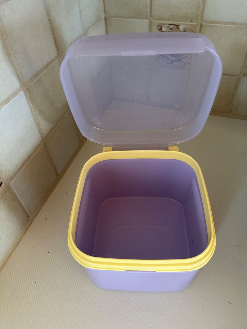 Tupperware Behälter & Ähnliches: Tupperware Dose, Farbe lila – Neu (gemäss Beschreibung) aus Villnachern von RicardoMary