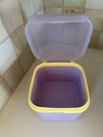Tupperware Dose, Farbe lila