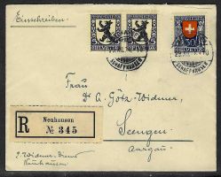 1924, J29(2x) + J32 auf R-Brief gestempelt NEUHAUSEN (15535)