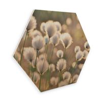 Hexagon Holz Birke-Furnier 25x22cm (neu, UVP 24.90 Fr.)