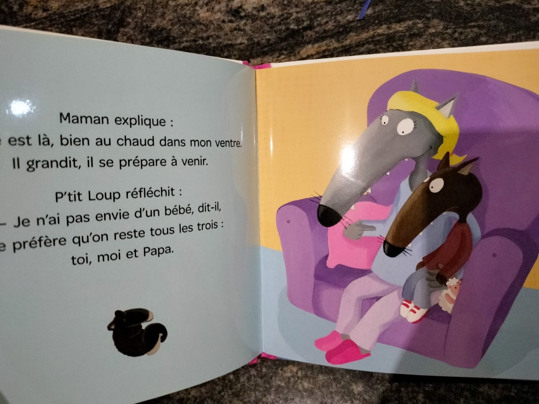 Livres: P'tit Loup devient grand frère – D'occasion à Cortaillod par rozinna 4