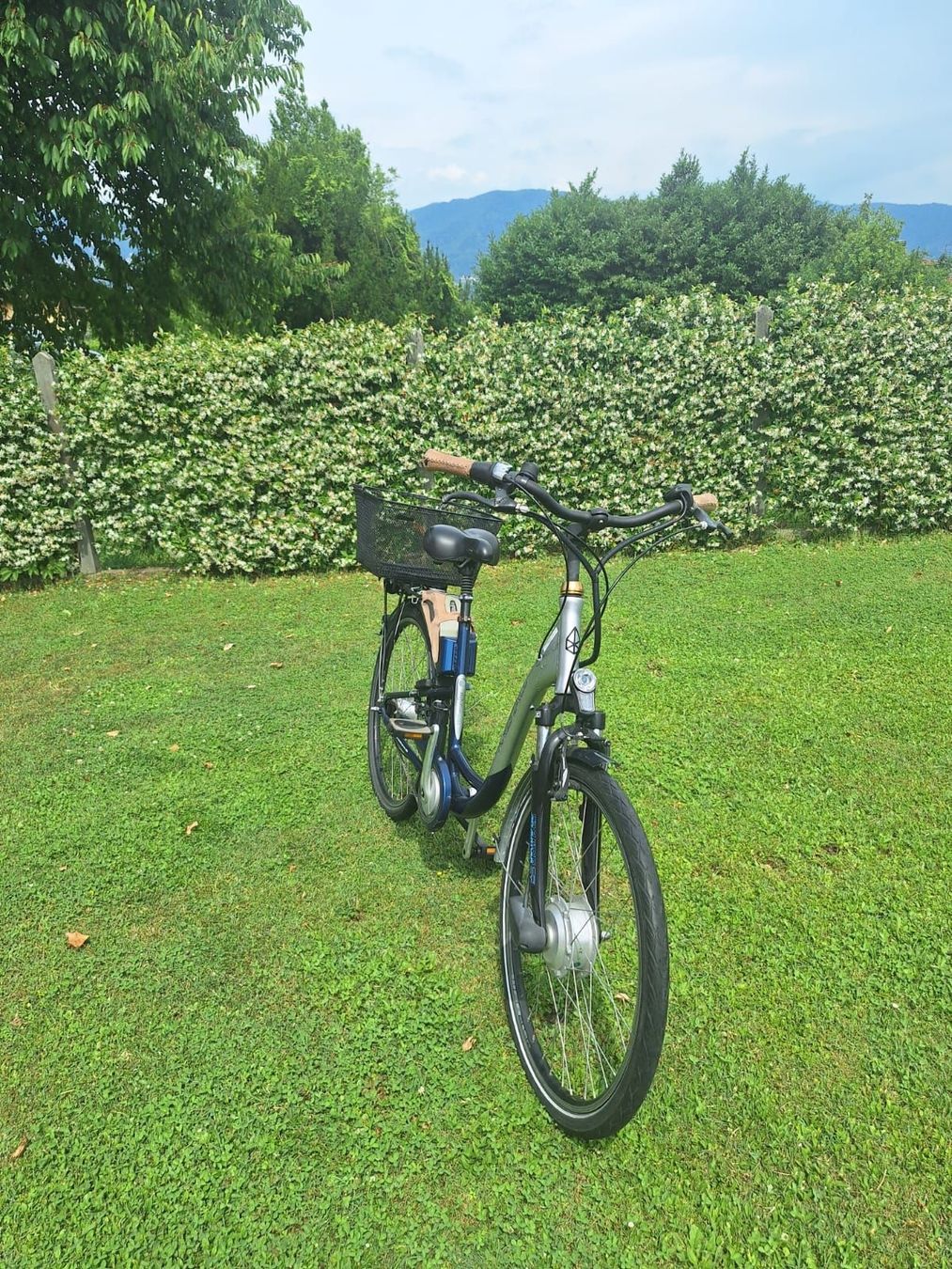 Velos: Ebike Kalkoff Kristall – Gebraucht aus Bellinzona von bug_cbd6 3