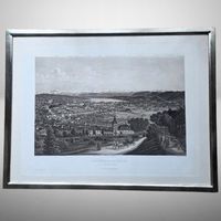 🎨Zürich Waid Bild 🖼️ H. Siegfried Litho Rahmen Rarität Top