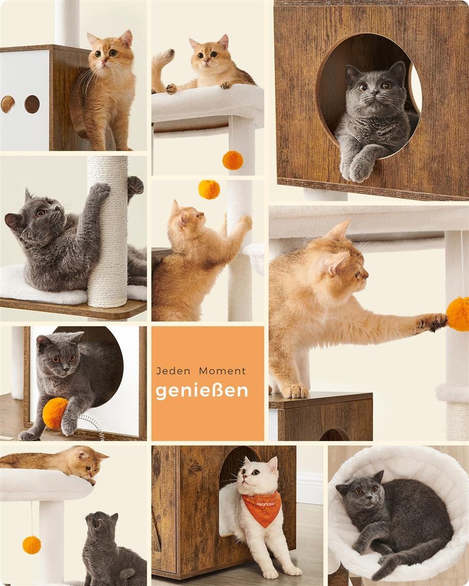 Katzenbaum - Kratzbaum: Kratzbaum Katzenbaum Mit Katzenschrank APOLLO – Neu (gemäss Beschreibung) aus Lachen SZ von MAMORU-MOEBEL 5