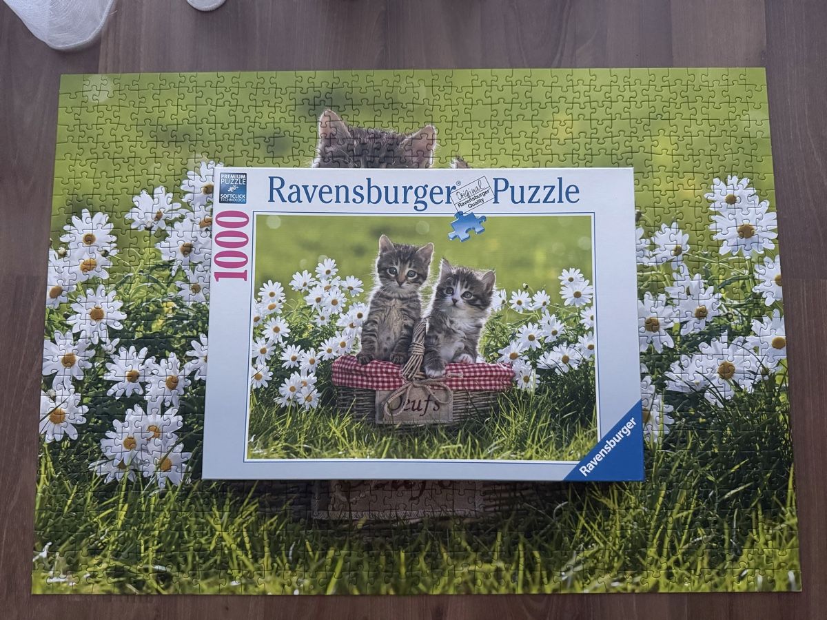 Ravensburger Puzzles: Ravensburger Puzzle  – D'occasion à Herisau par deb_5qfc 1