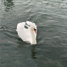 Profile image of emm_px8k